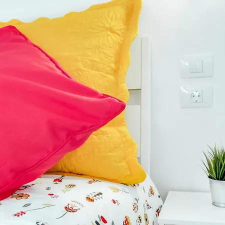 Estudio Tajinaste Arona (Tenerife)