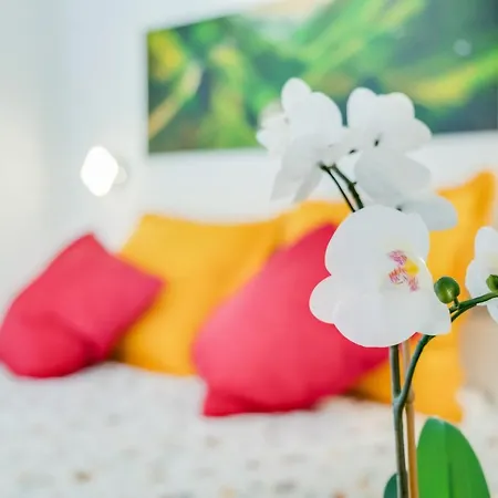 아파트 Estudio Tajinaste