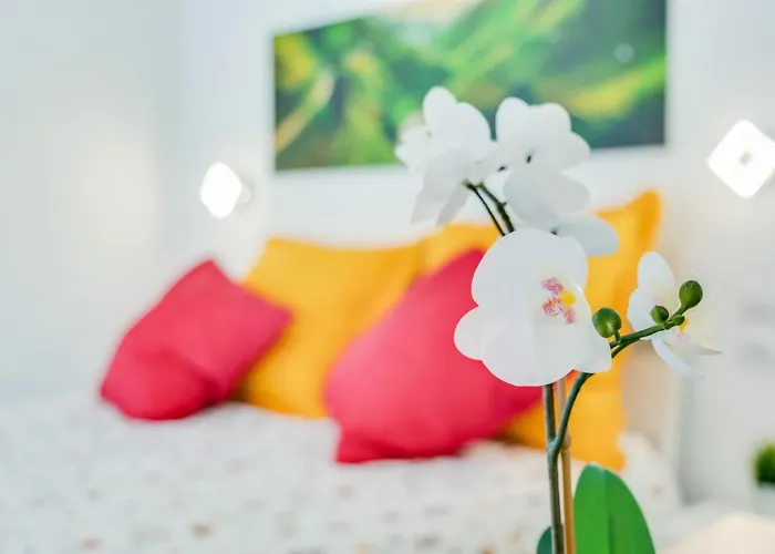 Apartmán Estudio Tajinaste